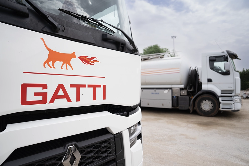 Gatti Camion 1